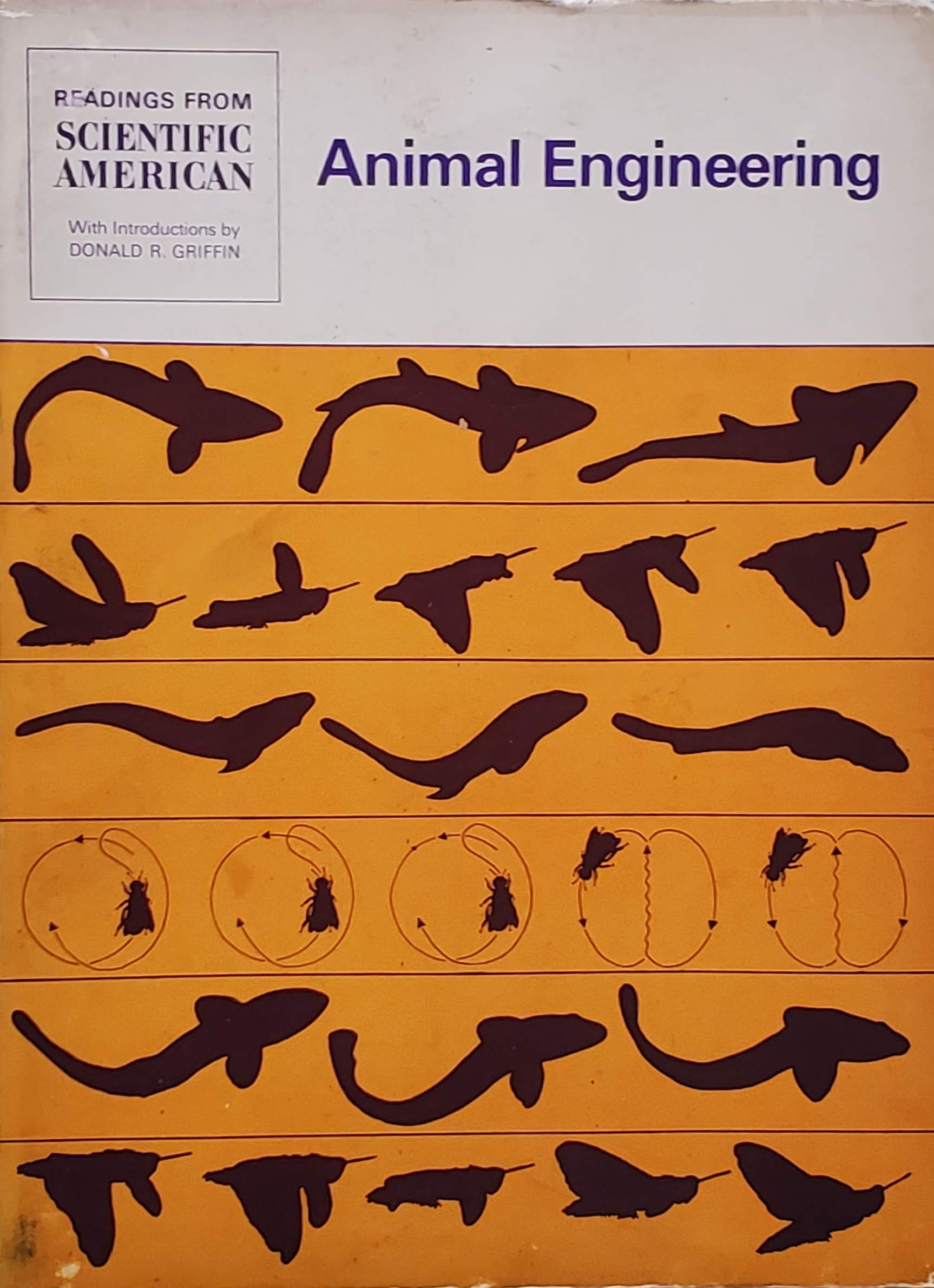 Cover of Animal Engineering