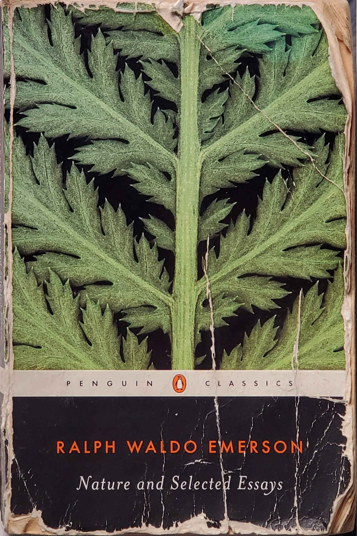 Cover of Nature and Selected Essays