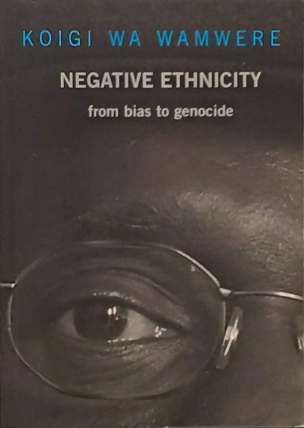 Cover of Negative Ethnicity
