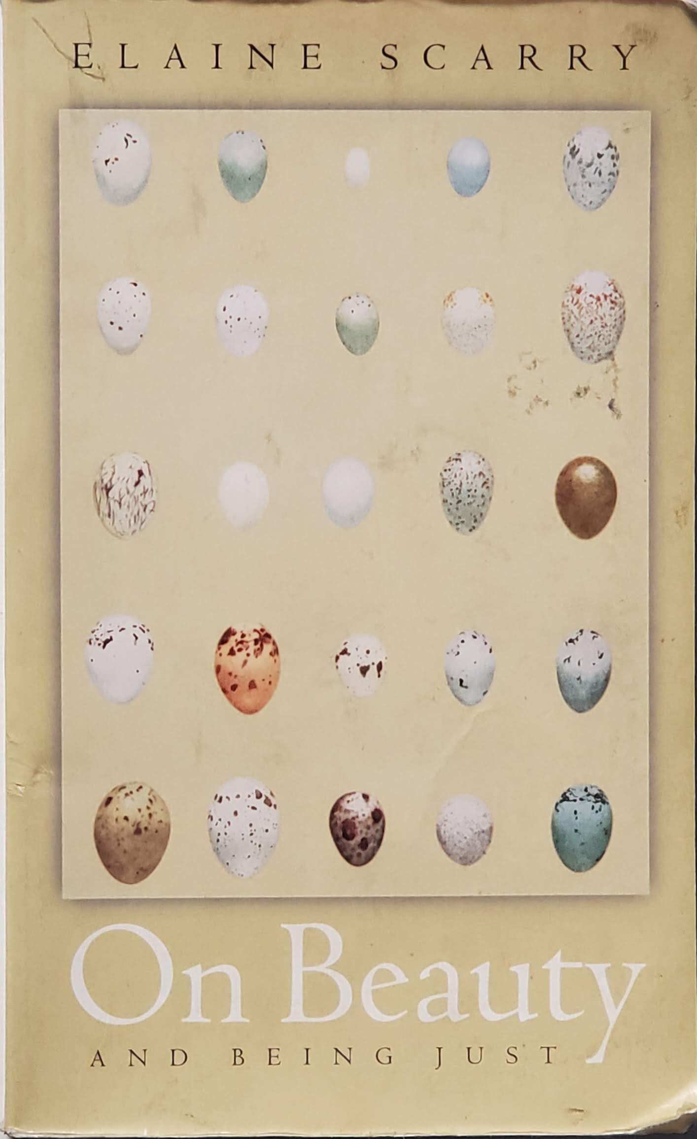 Cover of On Beauty and Being Just