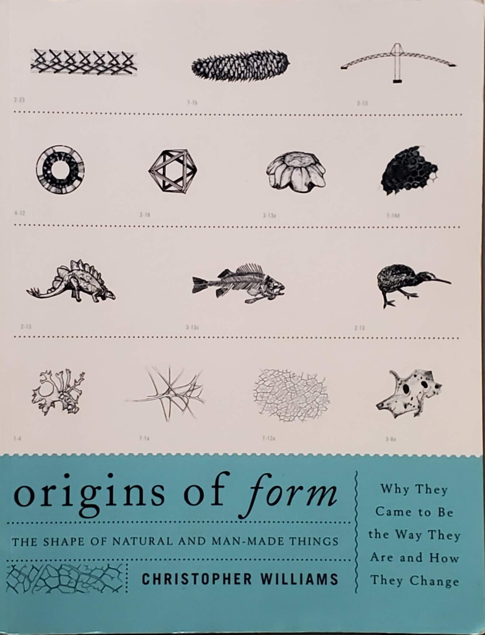 Cover of The Origins of Form