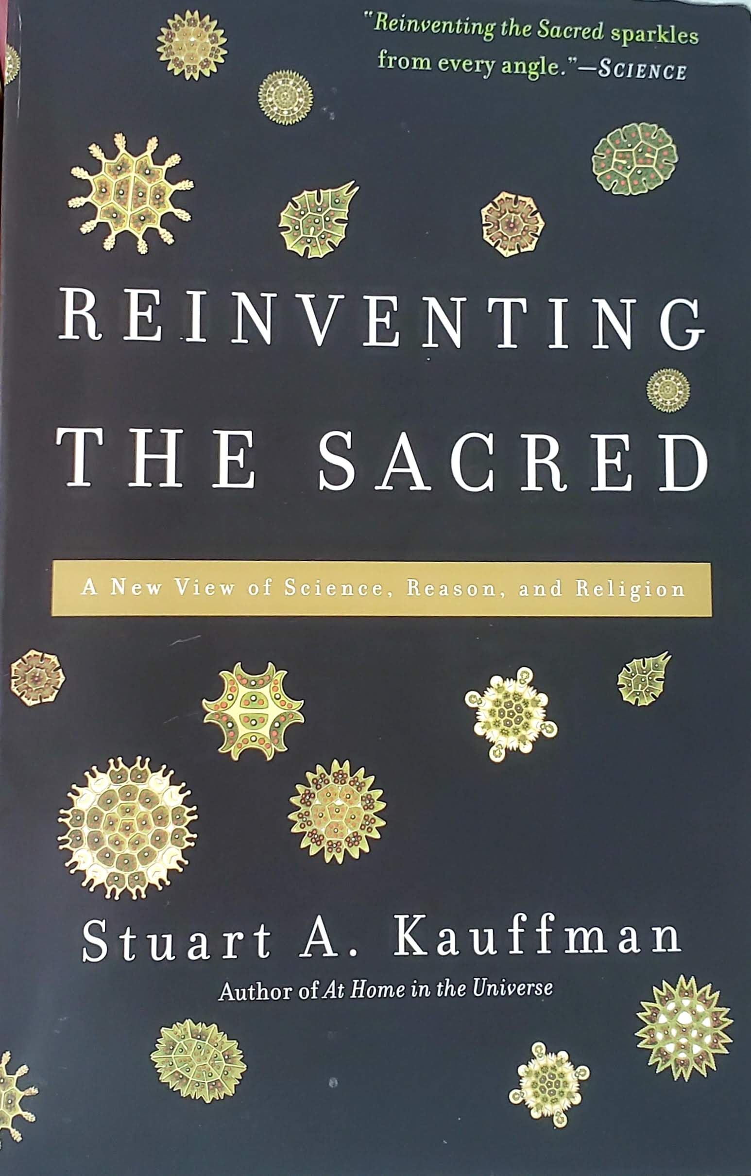 Cover of Reinventing the Sacred