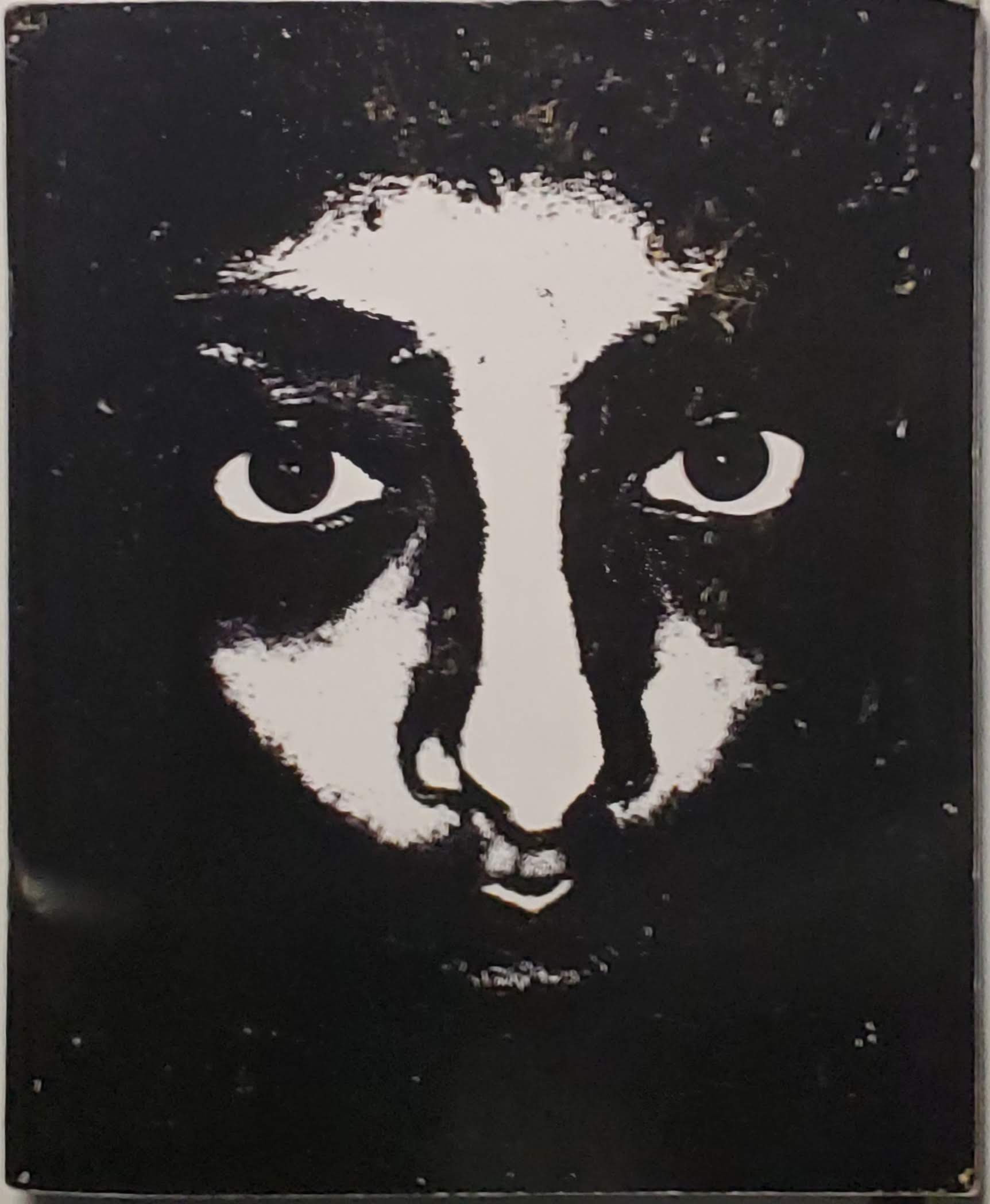 Cover of SHORTS / MASSIVE