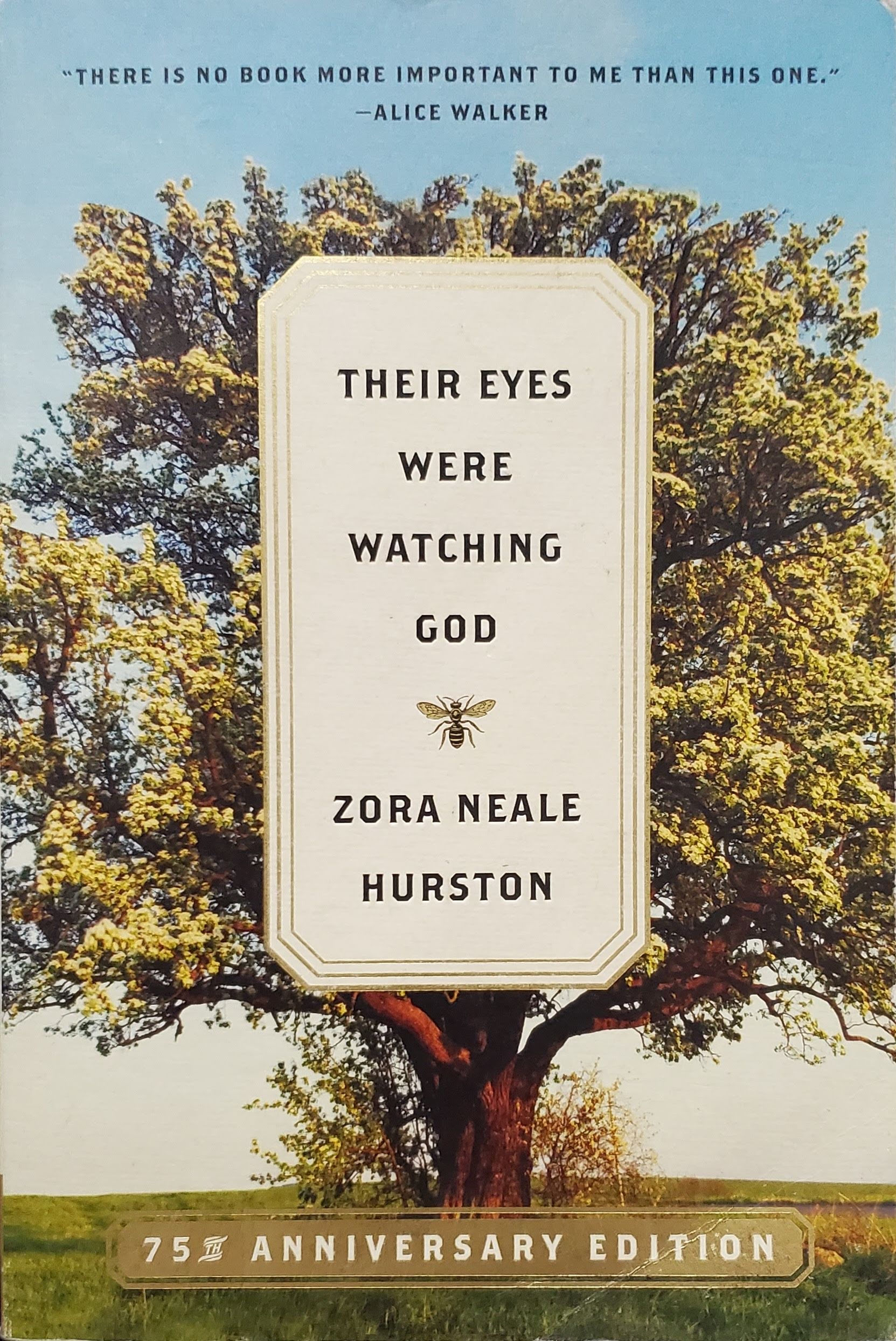 Cover of Their Eyes Were Watching God